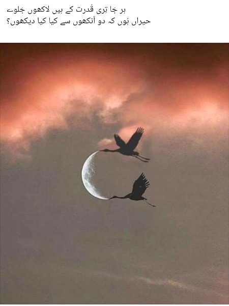 Islamic Quotes image