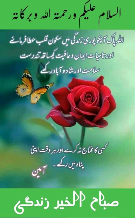 Assalam o Alaikum