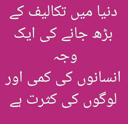 no caption