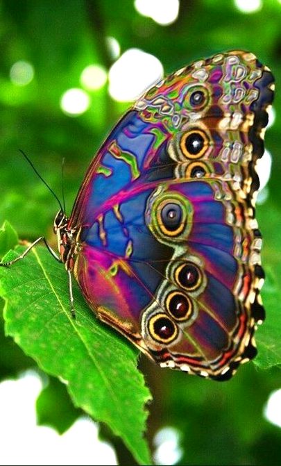 Beautiful Nature image