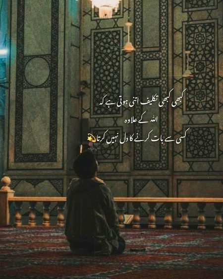 🪷🪄🌷🥀🦋...