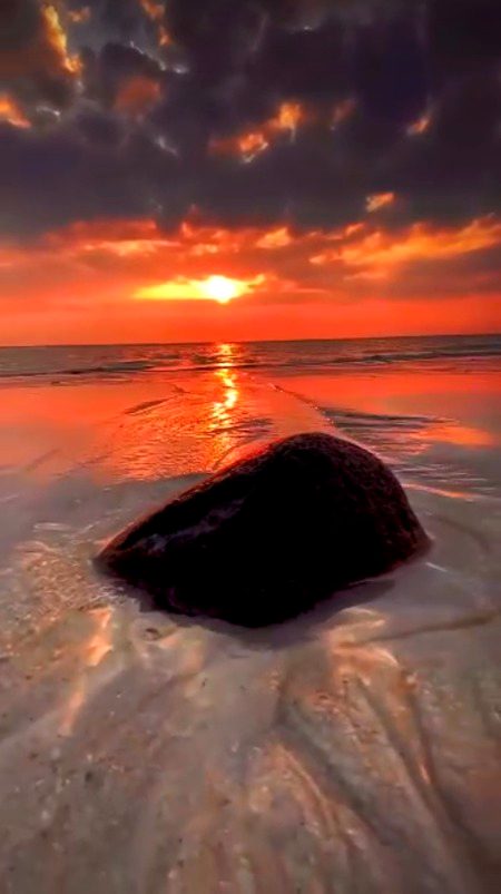 Beautiful Nature image