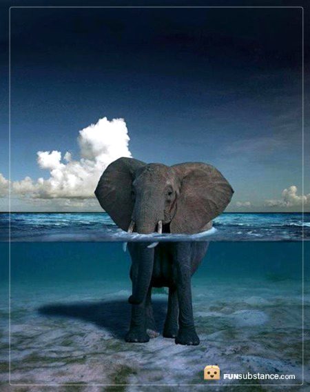 Beautiful Nature image