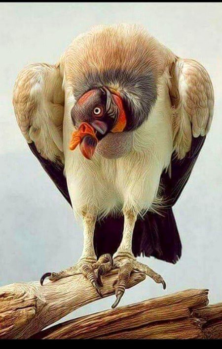 Beautiful Nature image