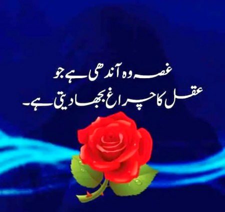 Gussa Haram h tahmul se Kam lya kro Saanaam❣️❣️