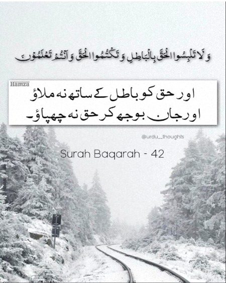 Islamic Quotes image
