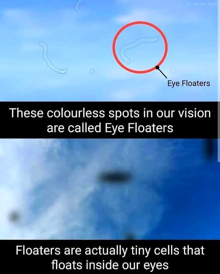 Interesting Posts image