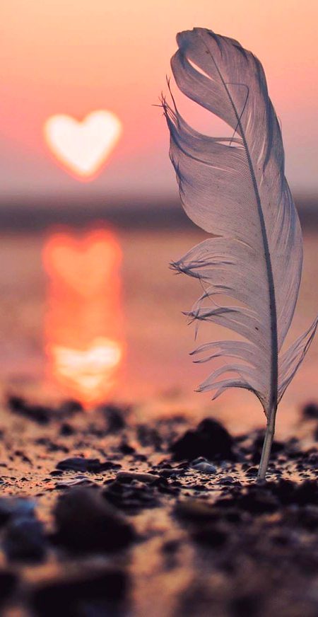 Beautiful Nature image