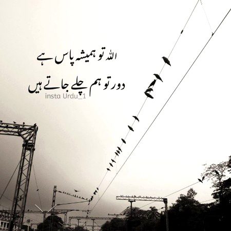 Islamic Quotes image