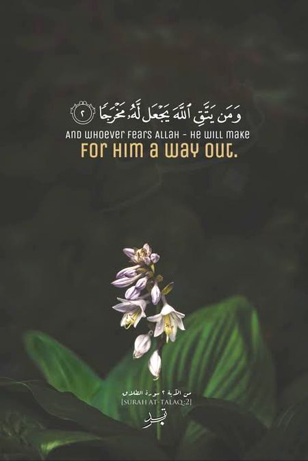 Islamic Quotes image