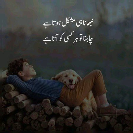 Life Advice image