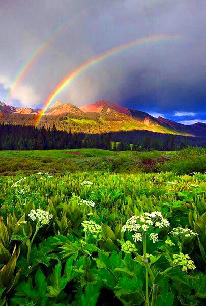 Beautiful Nature image