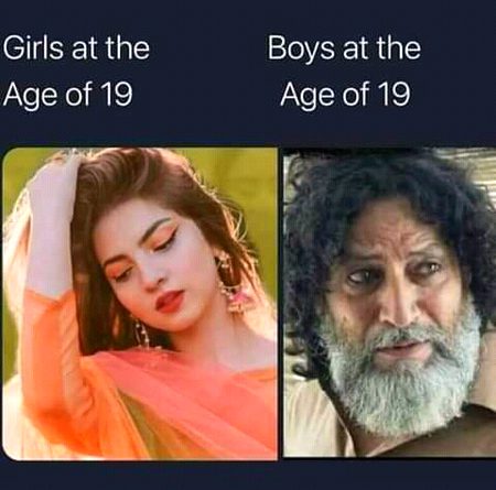 Memes & Satire image