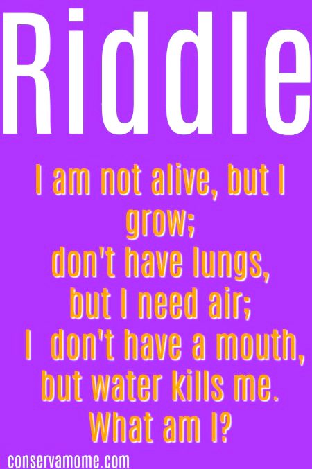 Riddles & Puzzles image