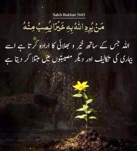 Islamic Quotes image