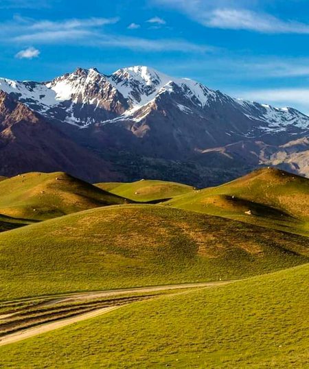 Beautiful Nature image