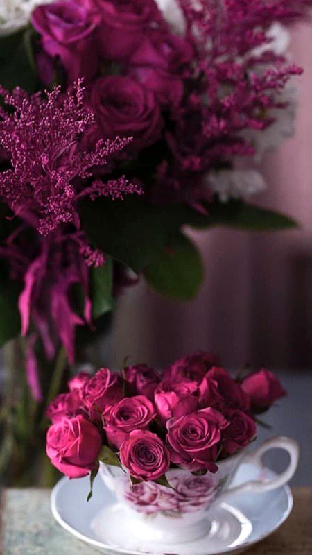 Beautiful Nature image