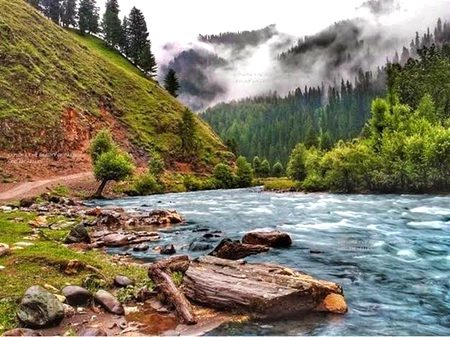 Beautiful Nature image