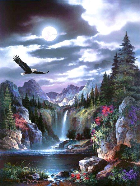 Beautiful Nature image