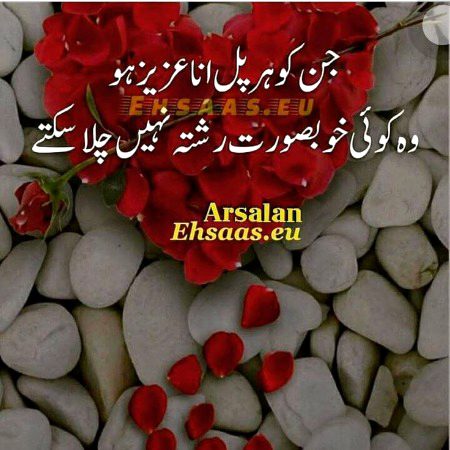 🌹 merijan-16 🌹