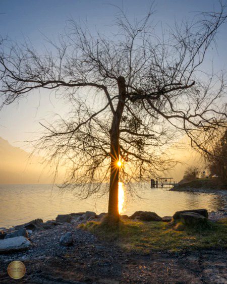 Beautiful Nature image