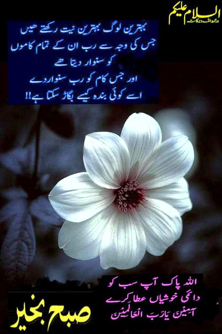 Subh bkhyr