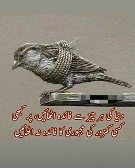 کمزور کی مجبوری 💔