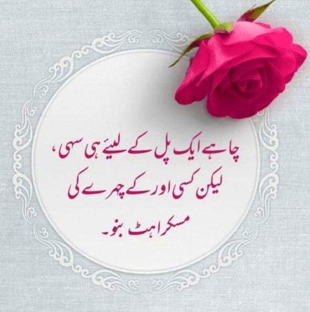 Life Advice image