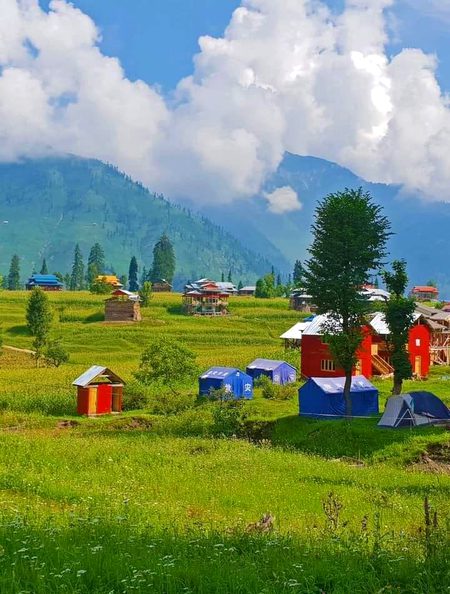 Beautiful Nature image