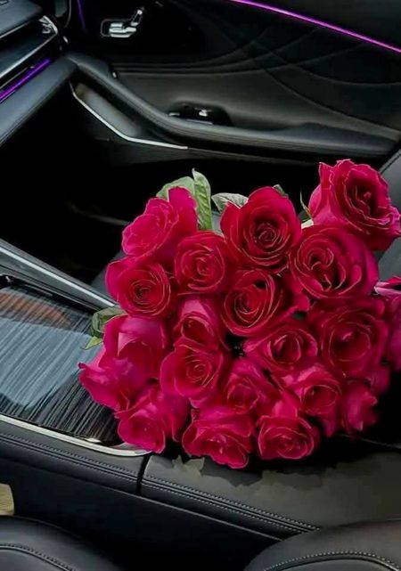 Beautiful Nature image