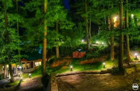 Beautiful Nature image