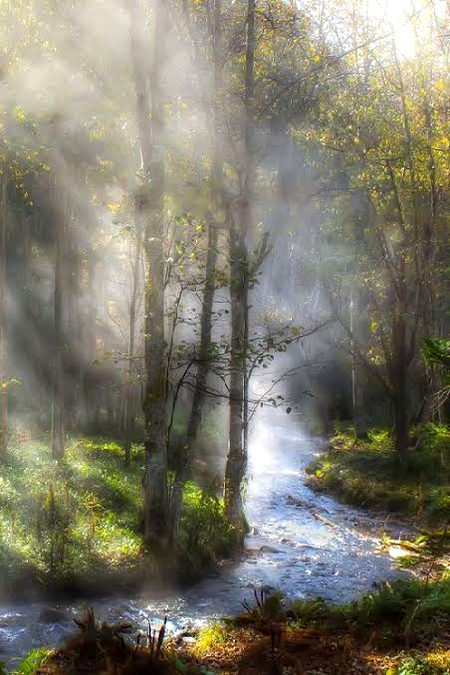 Beautiful Nature image