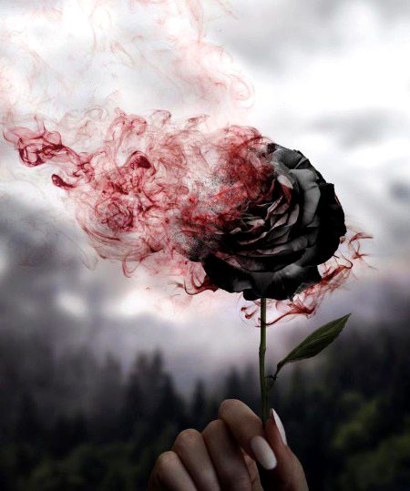 اسے جانے کی جلدی تھی ، سو آنکھوں ہی آنکھوں میں 
جہاں تک چھوڑ سکتا تھا ، وہاں تک چھوڑ آیا ہوں💔