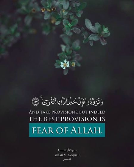 Islamic Quotes image