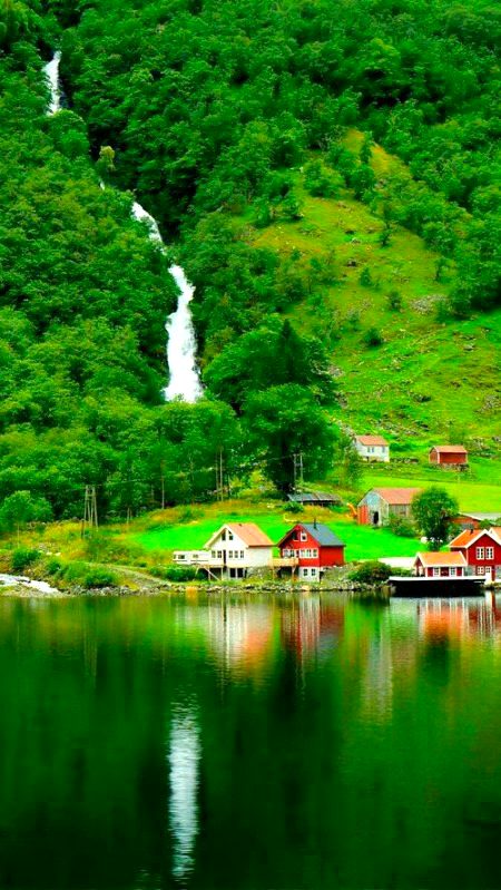 Beautiful Nature image