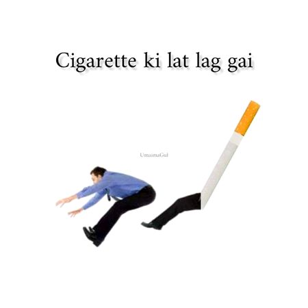 Memes & Satire image