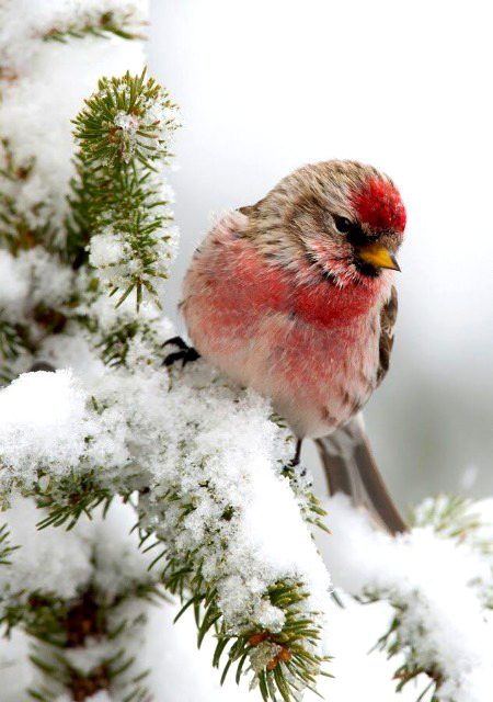 Beautiful Nature image