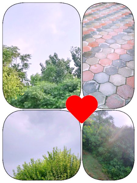 Beautiful Nature image