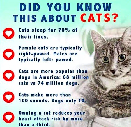 Interesting Posts image