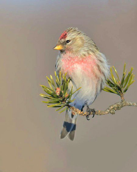 Beautiful Nature image
