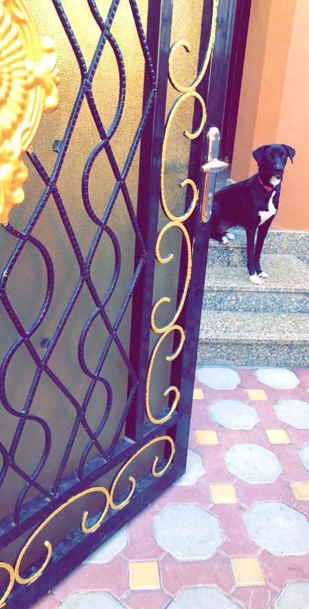 Beautiful Nature image