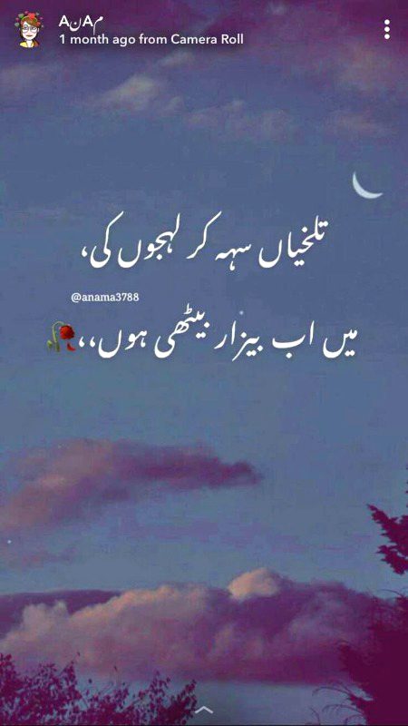 Sad Poetry image