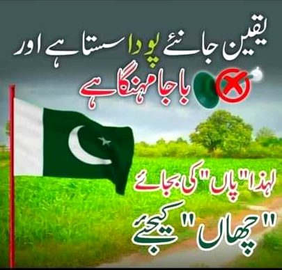 14 August coming soon