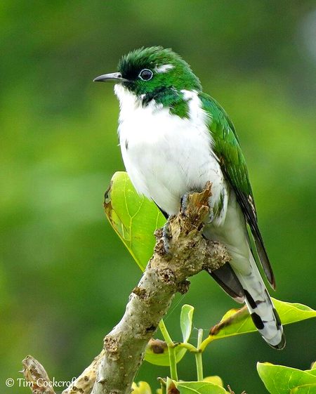 Beautiful Nature image