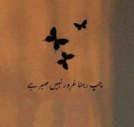 ☺️💯💞bilkul