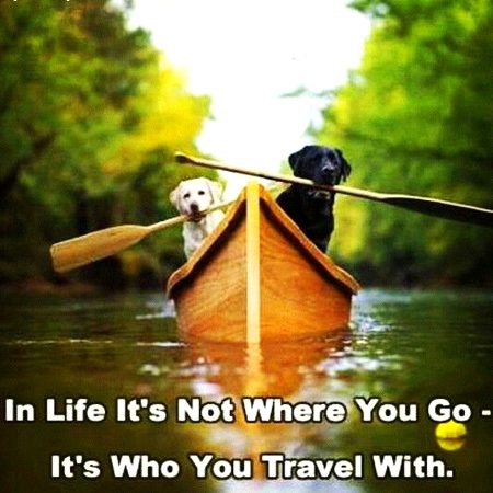 Life Advice image