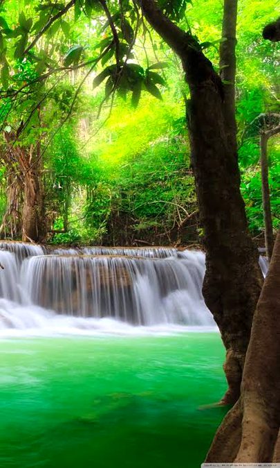 Beautiful Nature image