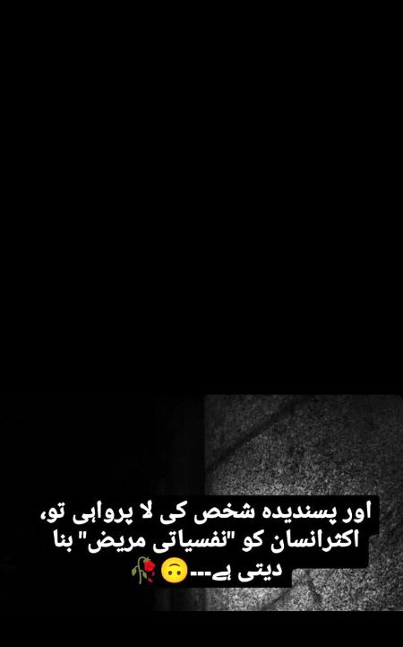 Absolutely...