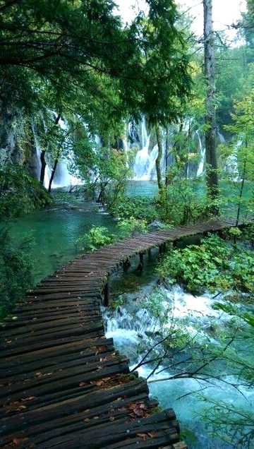 Beautiful Nature image
