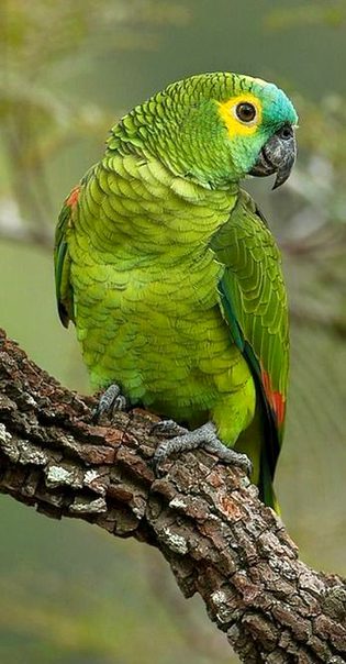 Beautiful Nature image